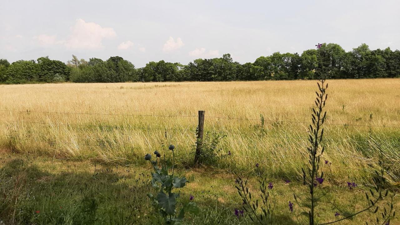 Biesboschbest Werkendam Buitenkant foto