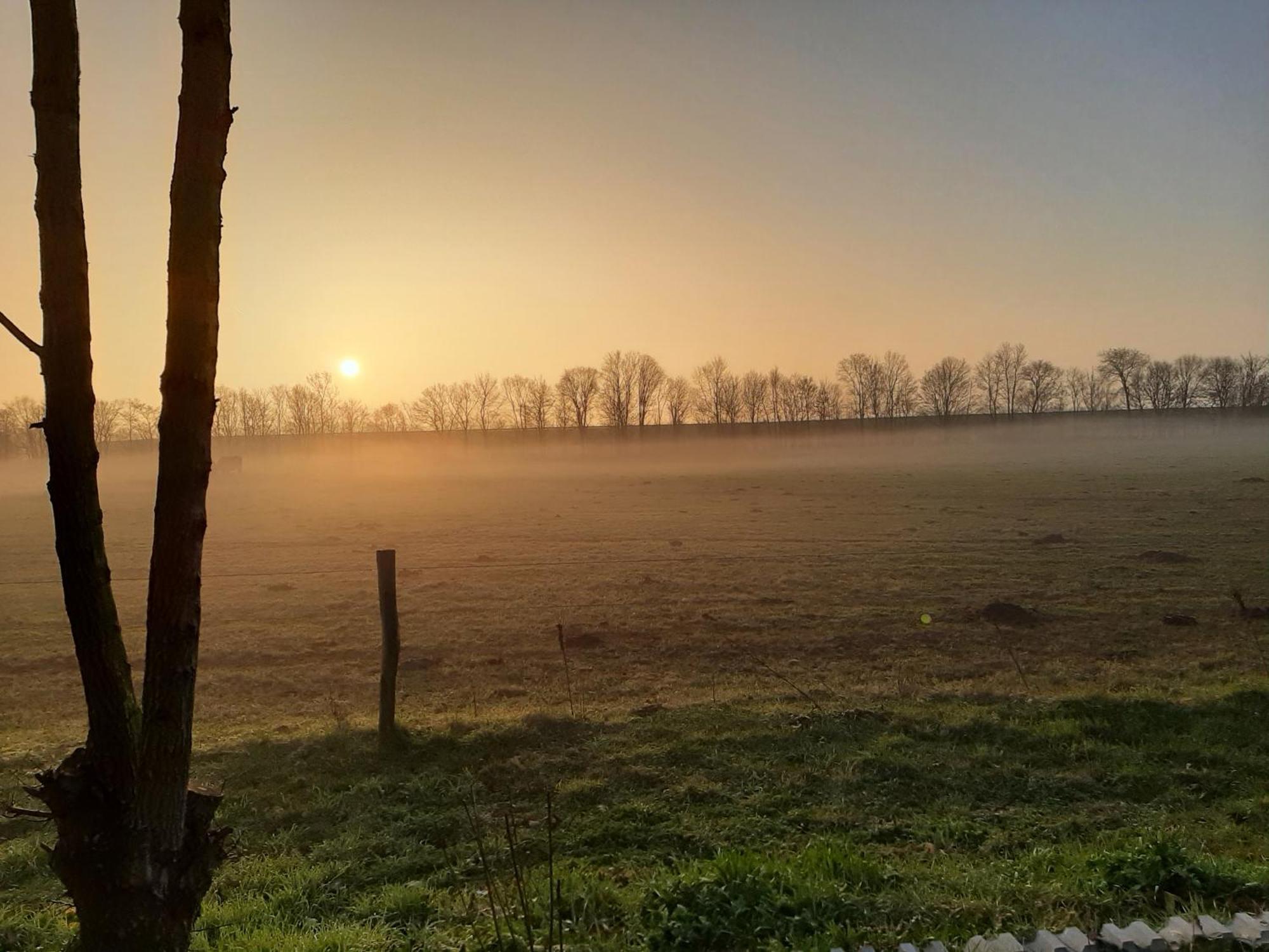 Biesboschbest Werkendam Buitenkant foto